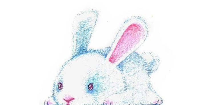 【鼠 牛 虎 兔】一生最吉利顏色，穿對顏色財神爺天天在身邊！