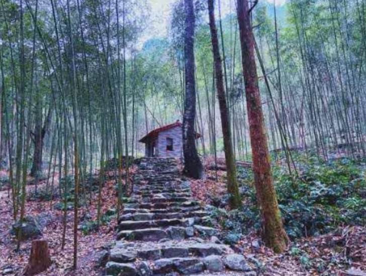 八仙山3名女子神秘失蹤！15年後，遺忘的攝影機意外拍下沒人敢看的真相