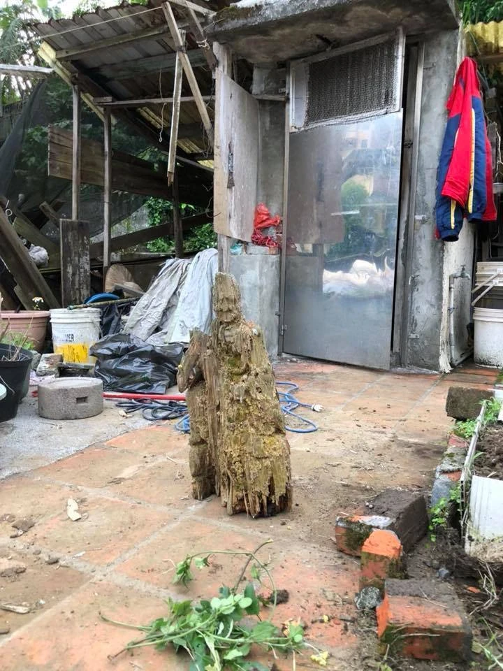 遭白蟻咬10年「枯木竟變濟公佛像」!眼尖網友發現「手上還有驚人細節」! 網民紛紛留言:活佛在世,南無阿彌陀佛!