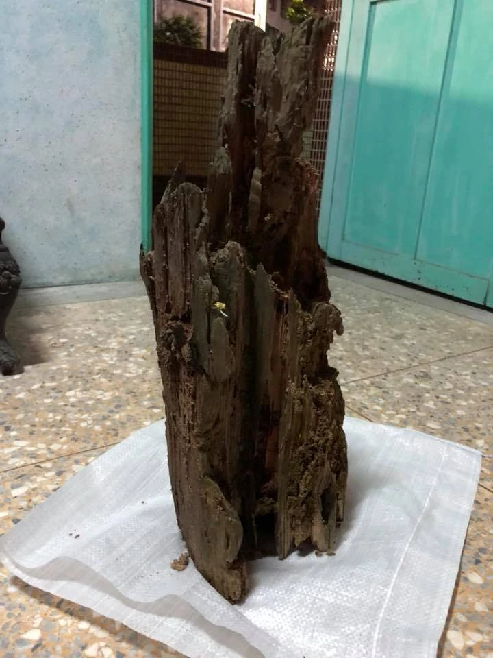 遭白蟻咬10年「枯木竟變濟公佛像」!眼尖網友發現「手上還有驚人細節」! 網民紛紛留言:活佛在世,南無阿彌陀佛!
