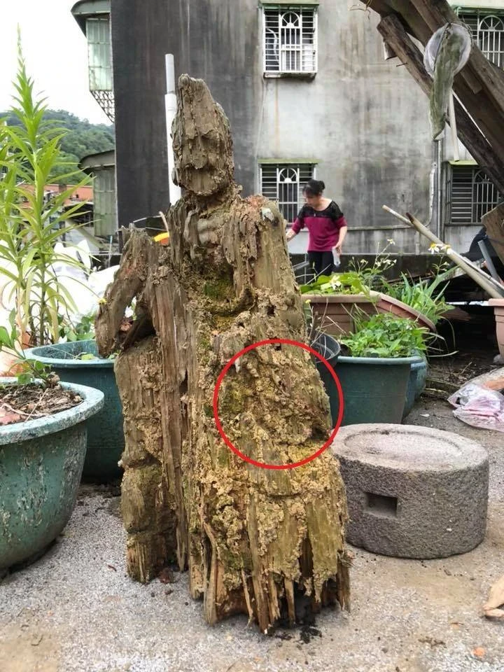 遭白蟻咬10年「枯木竟變濟公佛像」！眼尖網友發現「手上還有驚人細節」！ 網民紛紛留言：活佛在世，南無阿彌陀佛！