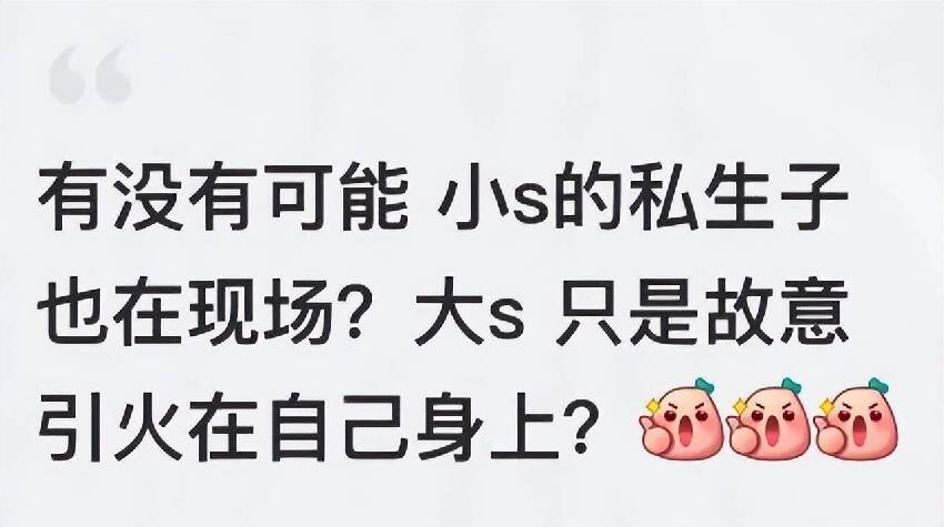 小S老公被偶遇帶娃出遊，同行女子並非小S，被質疑有私生女