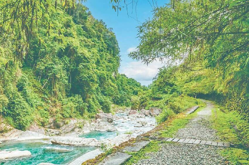 登山驚見血口怪蛇！張大嘴巴「不斷發出怪叫」 網一看驚喜「傳說中生物」：太幸運了