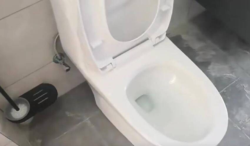 馬桶不用時！馬桶蓋「打開好」還是「蓋起來好」？不懂的趕快看看