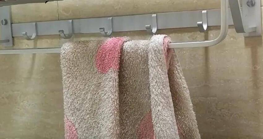 馬桶不用時！馬桶蓋「打開好」還是「蓋起來好」？不懂的趕快看看