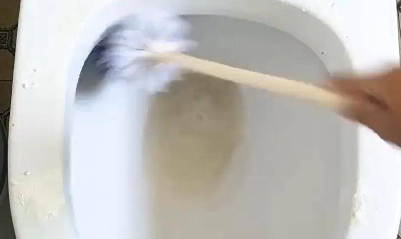 馬桶不用時！馬桶蓋「打開好」還是「蓋起來好」？不懂的趕快看看