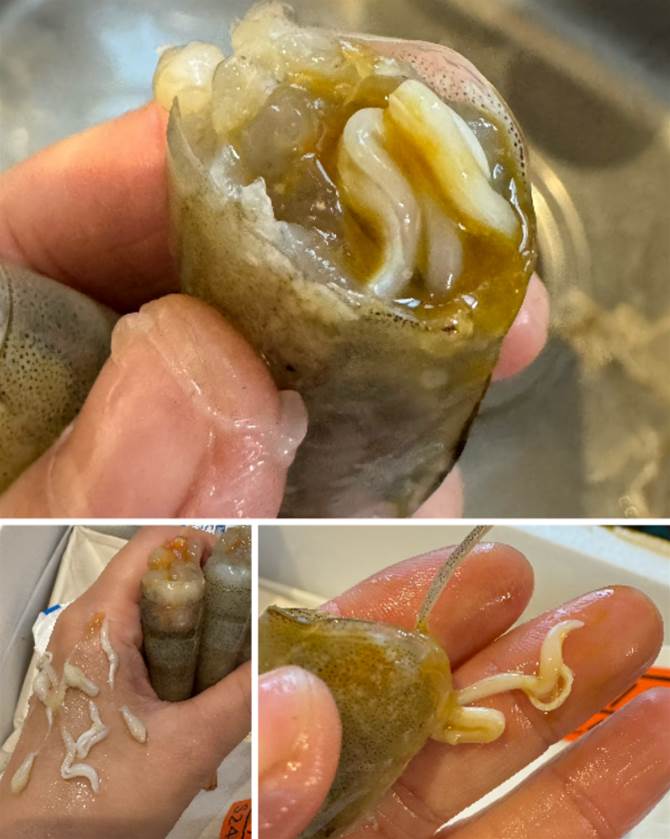 新買的蝦發現有「白蛆」，被嚇的不敢吃，她怒找店家理論卻被嘲：第一次吃海鮮嗎
