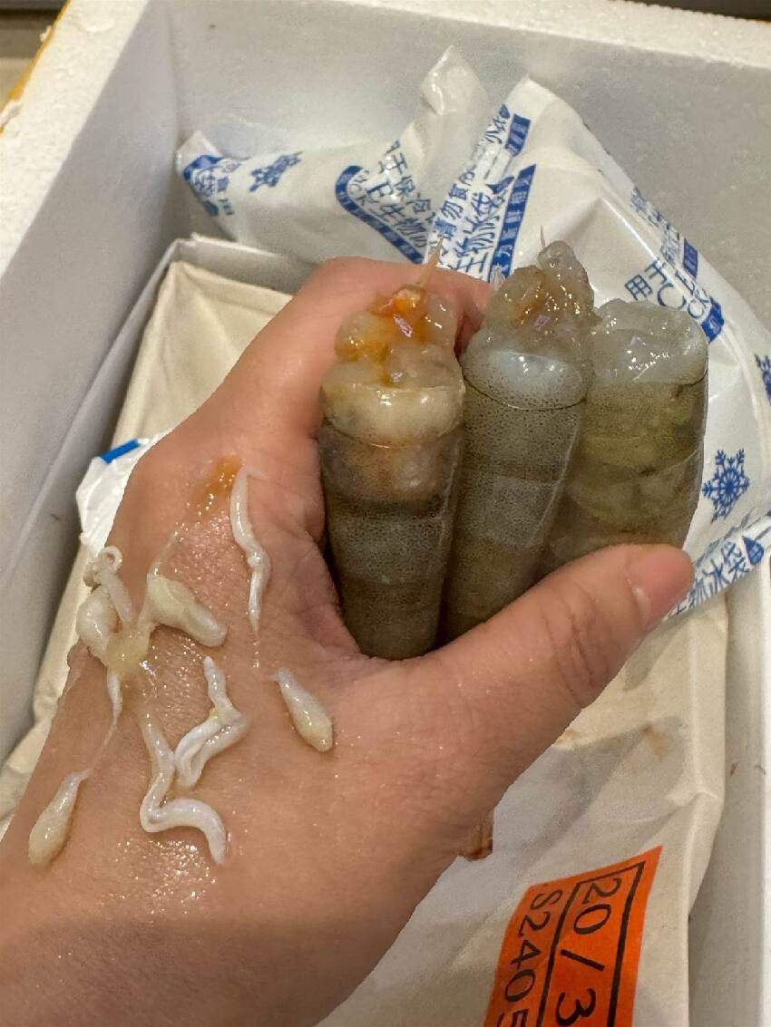 新買的蝦發現有「白蛆」，被嚇的不敢吃，她怒找店家理論卻被嘲：第一次吃海鮮嗎