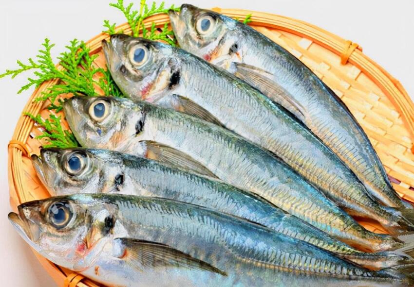 常吃魚補鈣健腦！但是「6種魚」盡量少吃　「重金屬含量」可能超標