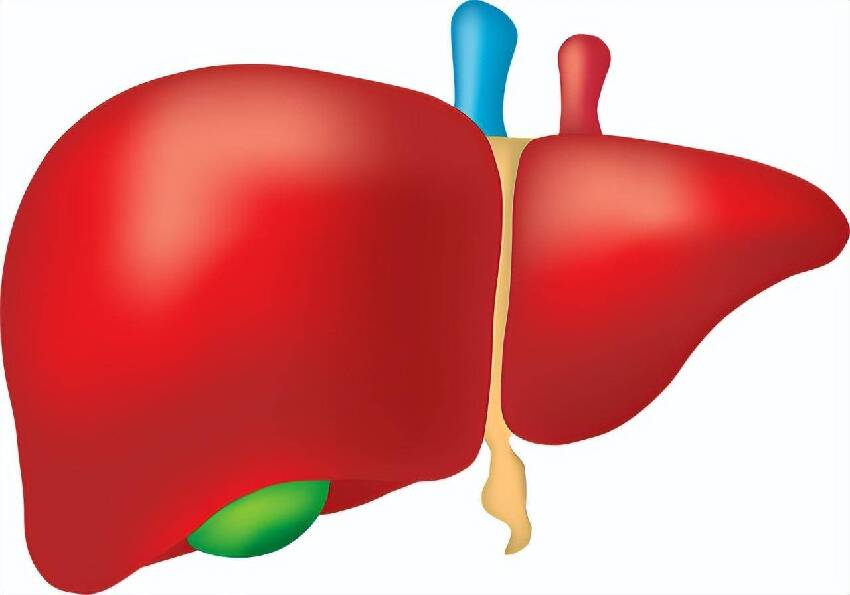 男子肝癌離世，年僅44歲！醫生提醒：1種「蛋」比酒還傷肝