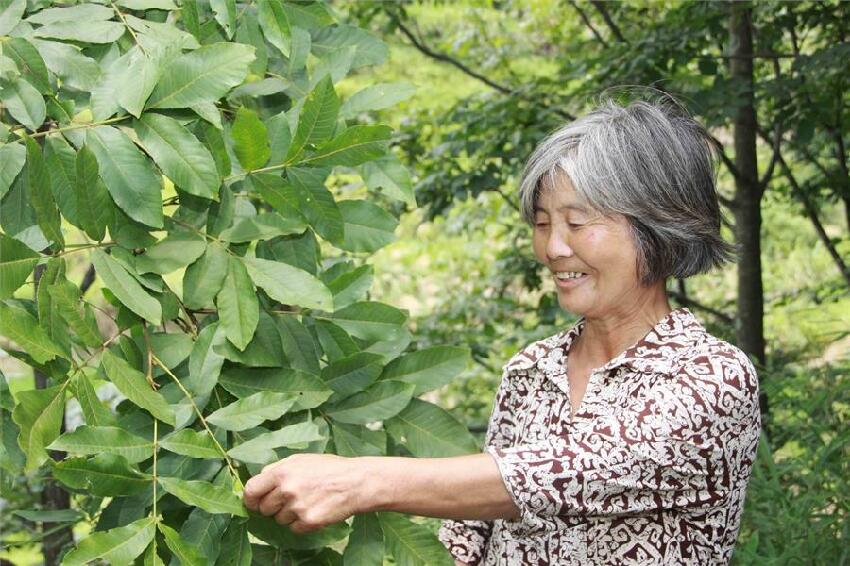 不要貪吃！糖友萬萬不能碰「6種家常菜 」　越吃血糖飆得越快：一定要忌口