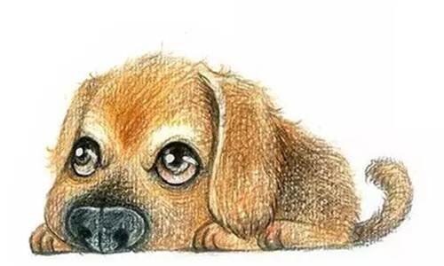 4月29日開始大筆偏財入賬，一直旺到年底的生肖！！！