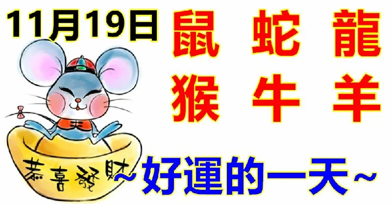 11月19日生肖運勢_鼠、蛇、龍大吉