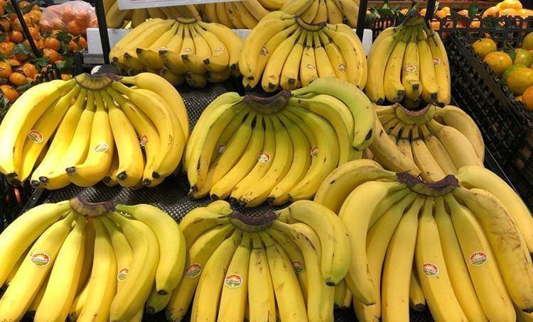 掃墓完別直接回家！命理師列「清明10大禁忌」誤踩衰整年，5點前要掃完「4生肖沖煞」別去這幾處