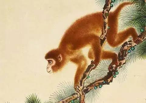 八月蓄力、九月進財、十月享福，三大生肖財運一路走高，喜事接踵而至