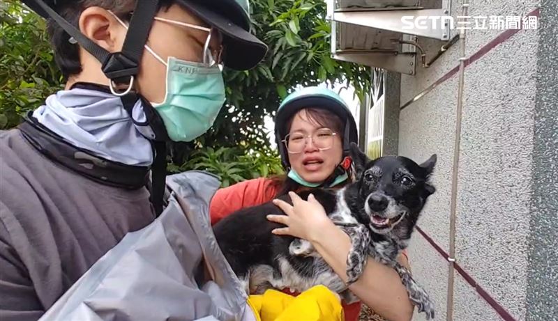 找到美琪「50萬懸賞金」何時發？善心伯婉拒　飼主曝進度：持續討論中
