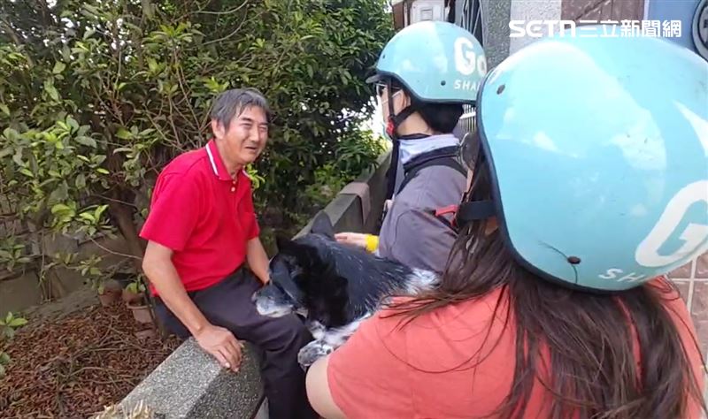 找到美琪「50萬懸賞金」何時發？善心伯婉拒　飼主曝進度：持續討論中