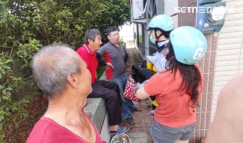 找到美琪「50萬懸賞金」何時發？善心伯婉拒　飼主曝進度：持續討論中