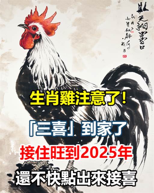 生肖雞！2024年有三大喜事！屬雞人將被大喜纏身！家裡有屬相雞的快來接喜！接住正財橫財一起來！