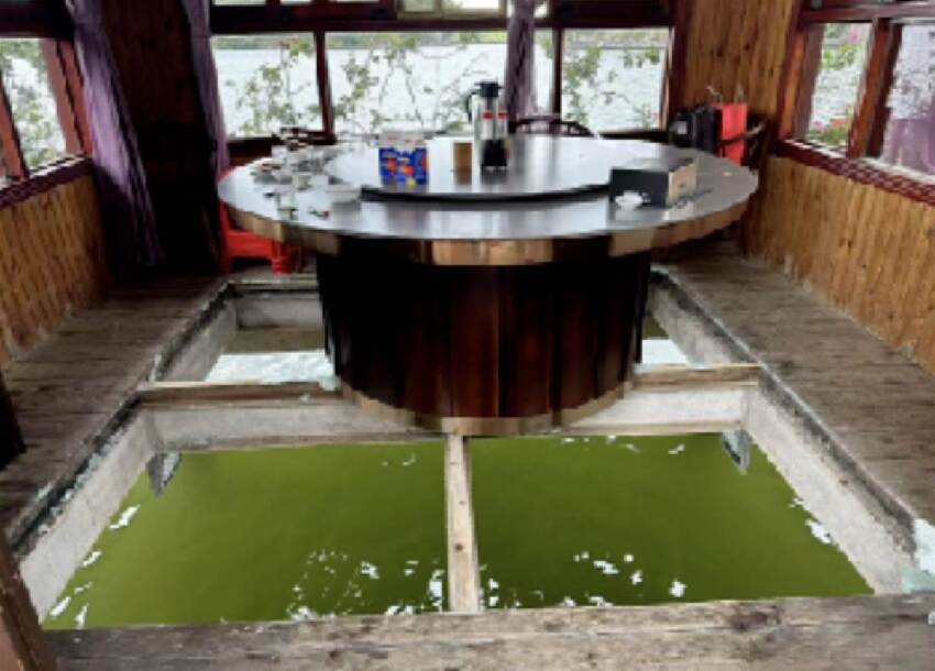 水上餐廳出事！顧客飯吃一半「玻璃地板碎裂」...驚傳「大咖跌落湖中身亡」