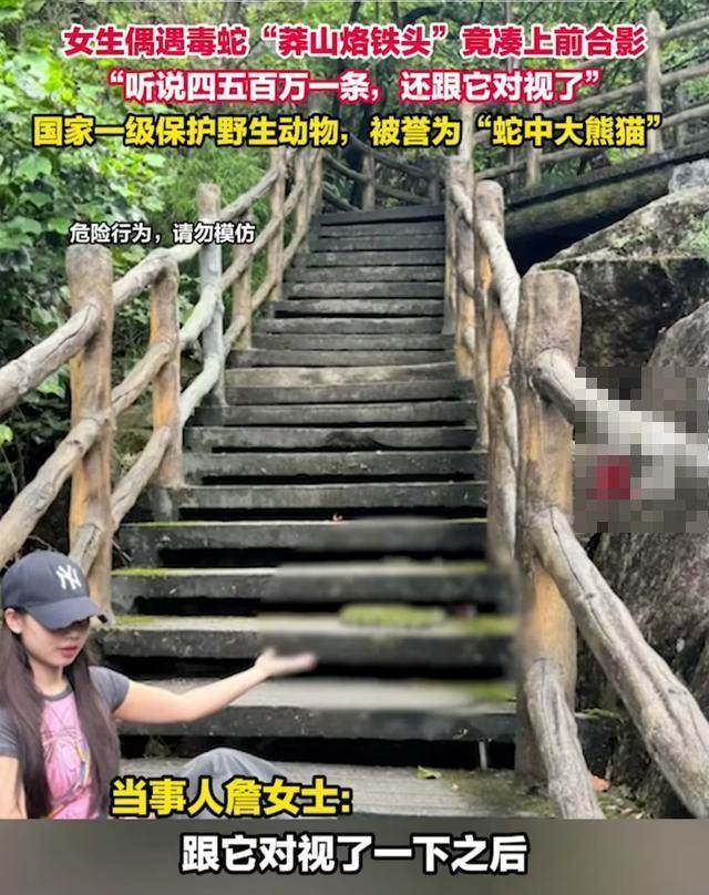 爬山竟遇見「身價破2000萬」劇毒毒蛇！女子「手伸向前大膽合照」網冒汗：咬一口走7步就倒