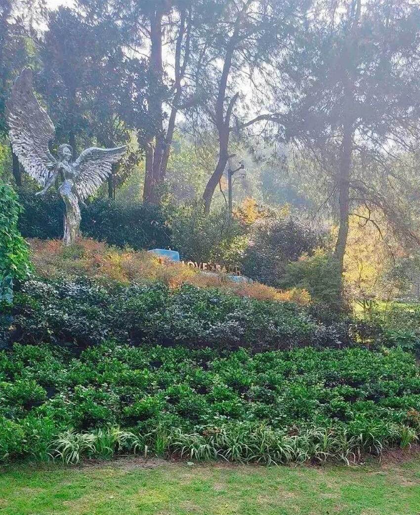 李玟墓地遭區別對待！雜草叢生鮮花被堆放一邊，知情人曝原因：粉絲心碎