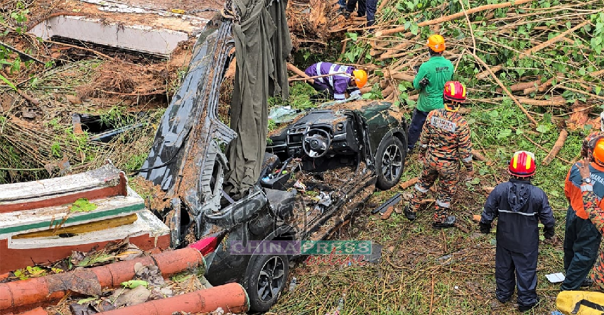 暴風雨奪命！ 博物館泊車場樹倒砸車 中國遊客父女 遭壓斃