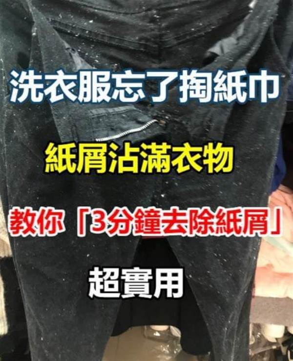 洗衣服忘了掏紙巾「紙屑沾滿衣物」？教你「3分鐘去除紙屑」超實用