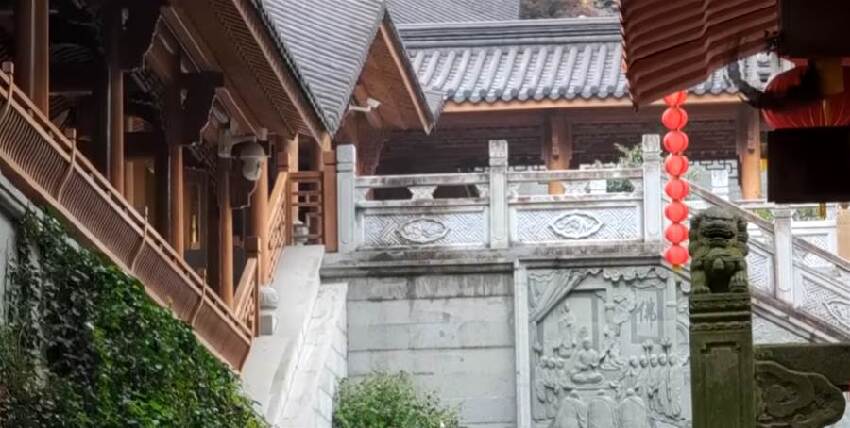 天眼男孩稱：墮入畜生道的人，生前都做過這6件事！