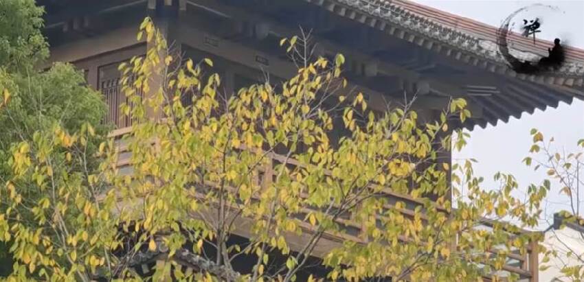 天眼男孩稱：墮入畜生道的人，生前都做過這6件事！