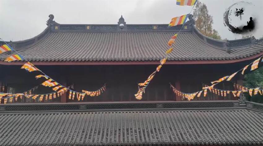 天眼男孩稱：墮入畜生道的人，生前都做過這6件事！