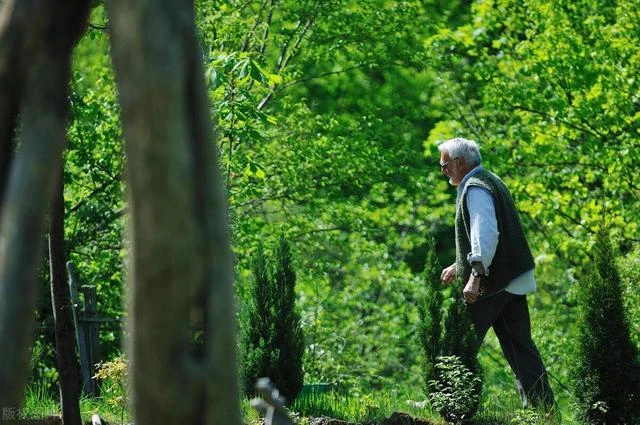 兩個小叔不肯照顧！76歲公公「住在我家養老15年」沒給一毛錢　他過世第2天「家裡來了2個律師」