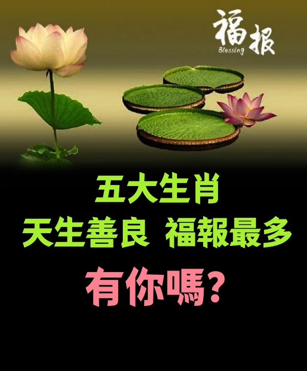 天生善良，福報最多的五大生肖，有你嗎？