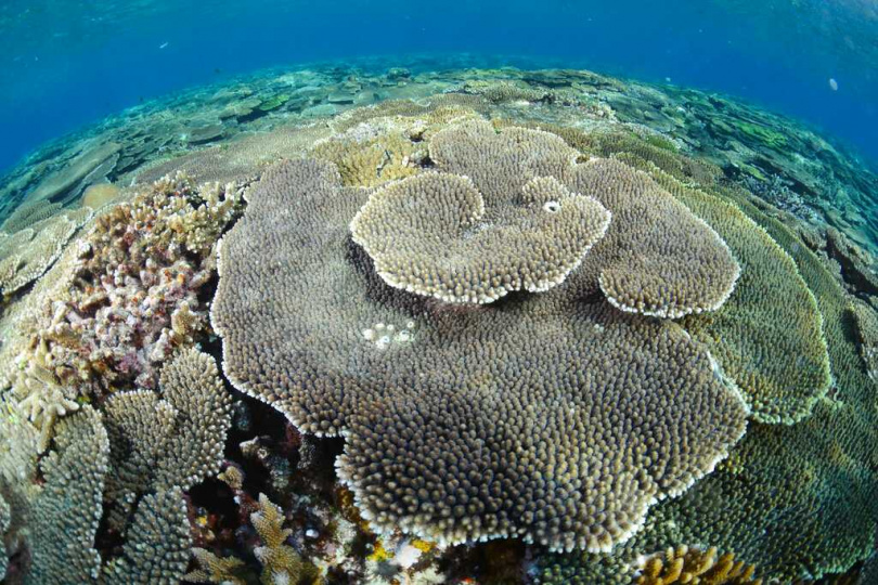 台灣須小心！最新研究曝「一地恐爆規模9.1強震」　專家揭海底數據示警：「平靜只是假象」