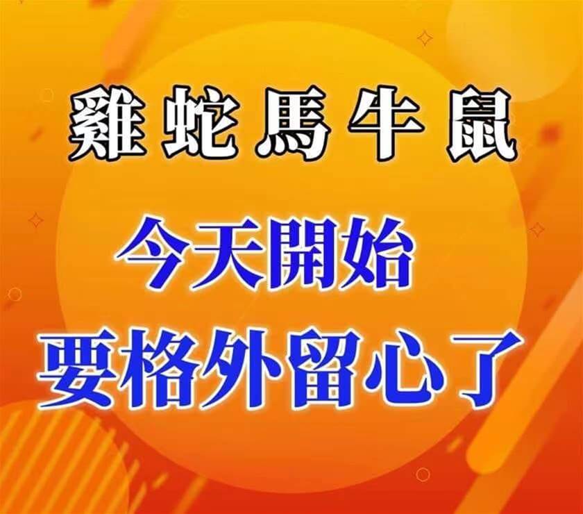 簡直不可思議！【蛇雞馬牛鼠】今天開始要格外小心了！意外之財馬上到！