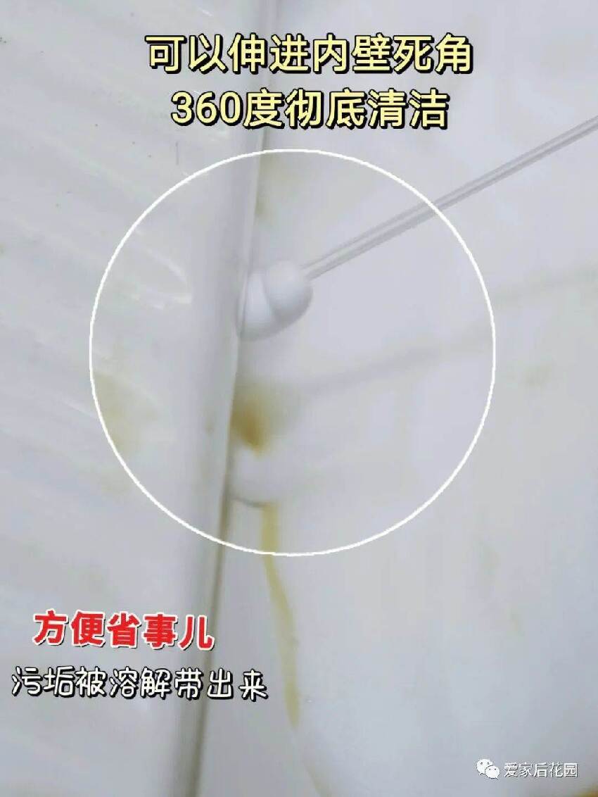 千萬別往馬桶「倒水沖廁」！不然你會後悔，看完你就懂了