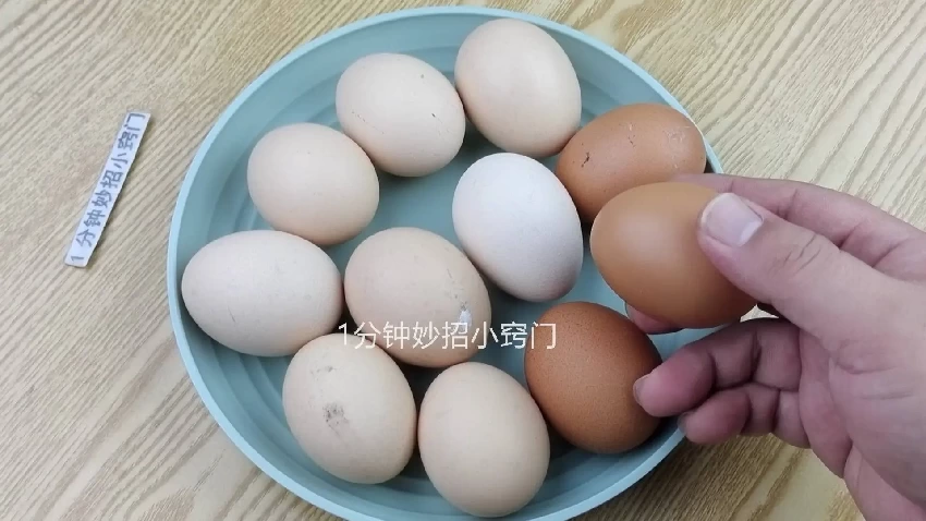 買雞蛋時，白殼雞蛋和紅殼雞蛋哪個好？養殖戶說漏嘴：看完別亂買