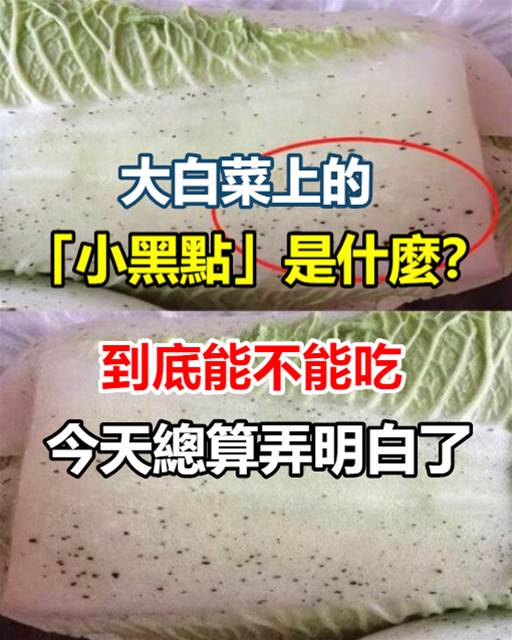 大白菜上的「小黑點」是什麼？到底能不能吃？今天總算弄明白了！