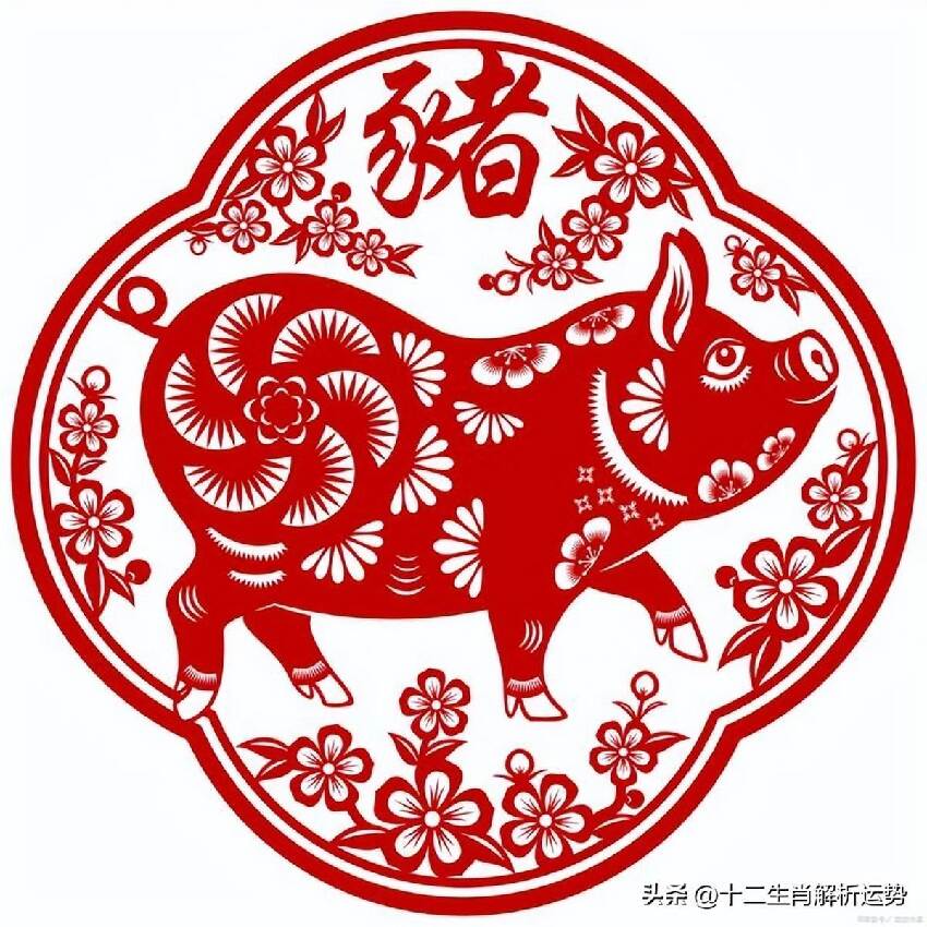 生肖豬：請珍惜3個人！1個陪你一輩子「1個令你逢兇化吉」1個助你錢財滾滾來