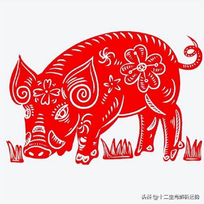 生肖豬：請珍惜3個人！1個陪你一輩子「1個令你逢兇化吉」1個助你錢財滾滾來