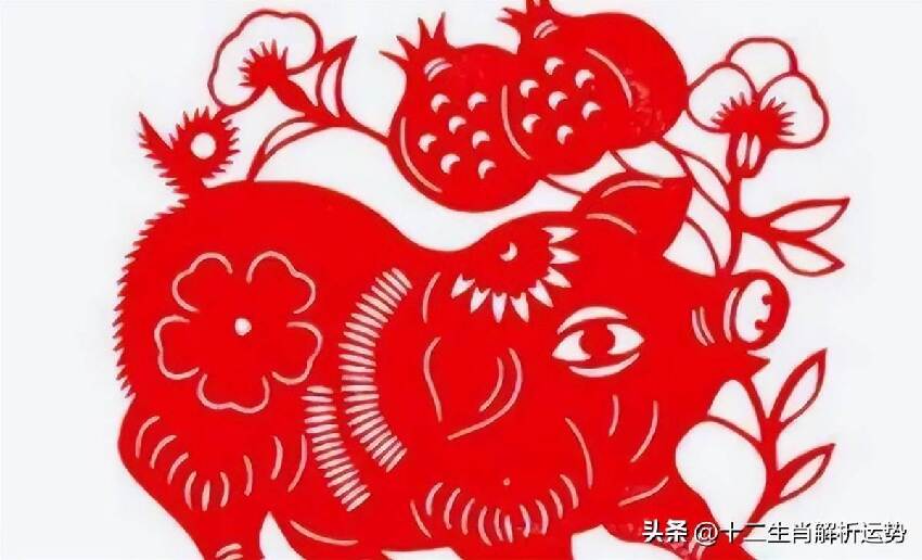 生肖豬：請珍惜3個人！1個陪你一輩子「1個令你逢兇化吉」1個助你錢財滾滾來