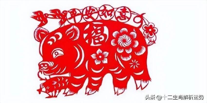 生肖豬：請珍惜3個人！1個陪你一輩子「1個令你逢兇化吉」1個助你錢財滾滾來