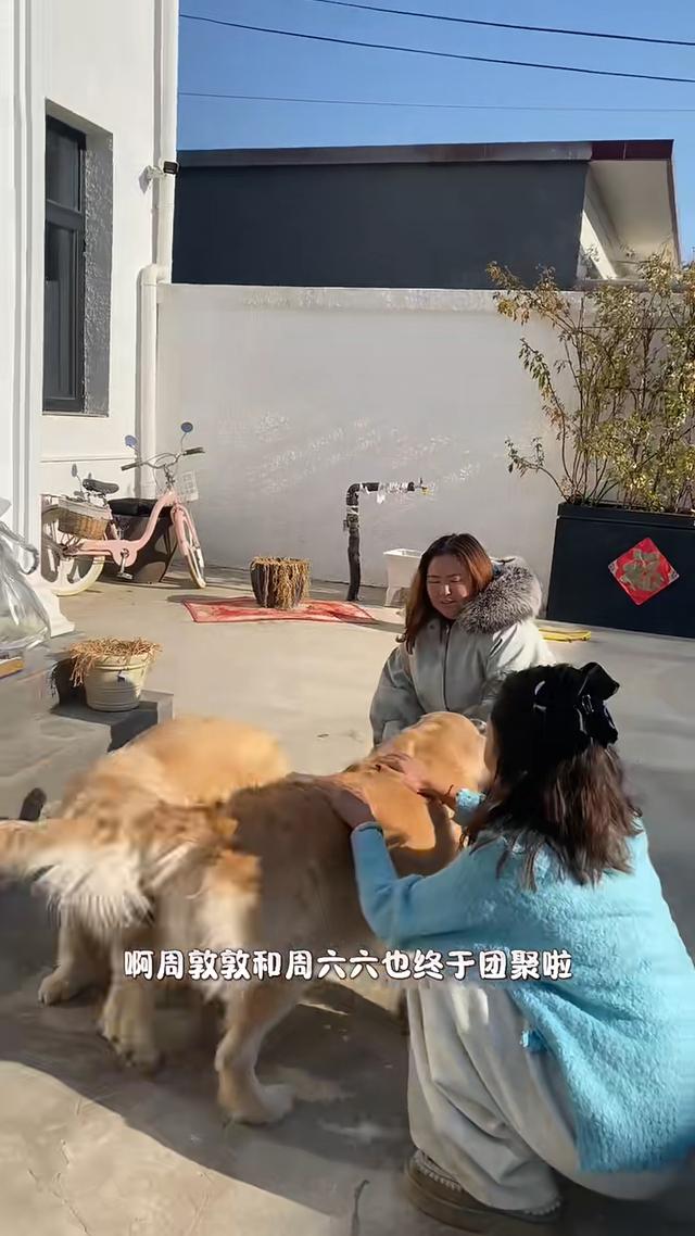 周海媚離世一周年！兩隻愛犬團聚，李勤勤帶去北京墓園拜祭太催淚