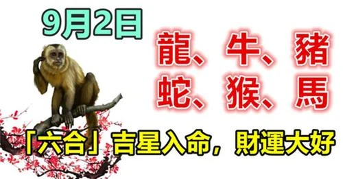 9月2日生肖運勢_龍、牛、豬大吉