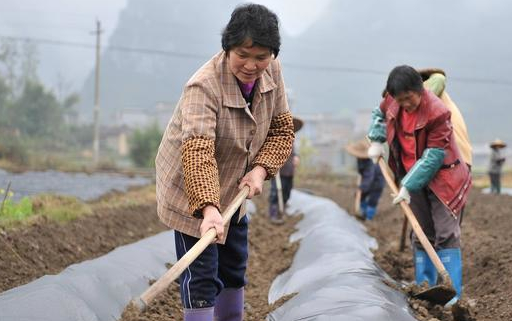 不顧父母反對！女兒「遠嫁5年未歸」　母親忍不住偷偷探望「鄰居一番話」讓她瞬間癱倒