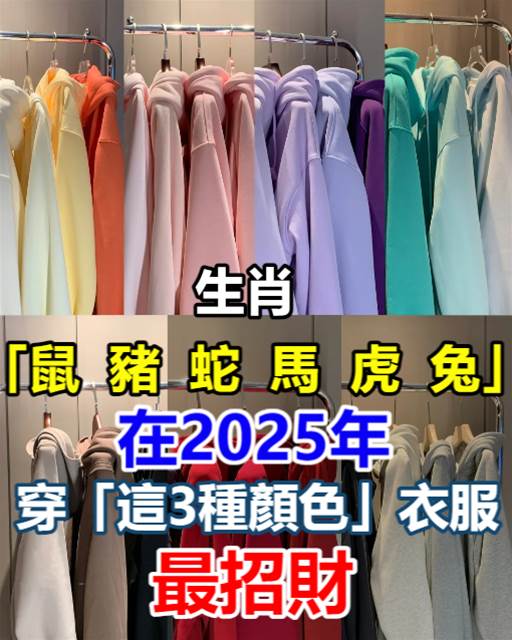 生肖「鼠、豬、蛇、馬、虎、兔」！在2025年穿「這3種顏色」衣服最招財