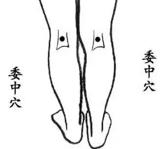 百病從濕氣起!找到身體「排濕口」經常拍一拍 「濕氣全排出去」身體越來越健康