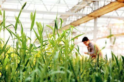 一定要把握住！睡覺夢到「7樣東西」是大吉之兆，代表「你要發大財啦」