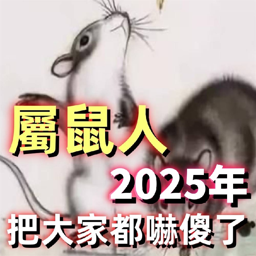 生肖屬鼠注意：2025年可能是你福運的轉折點！