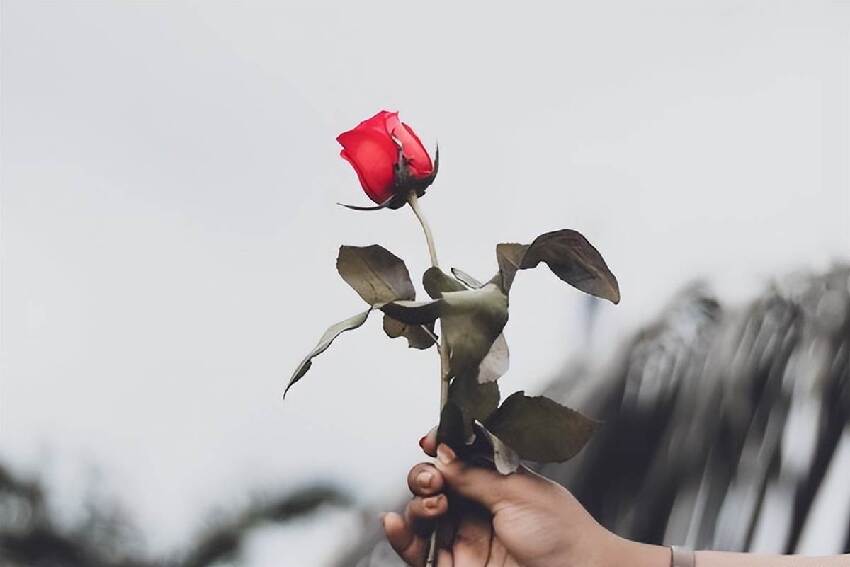 玄學提醒：永遠不要在熟人面前，說以下這兩種話，切記切記！